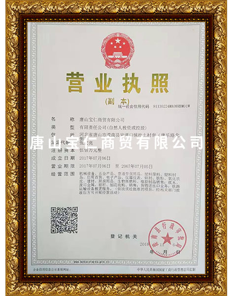 執照